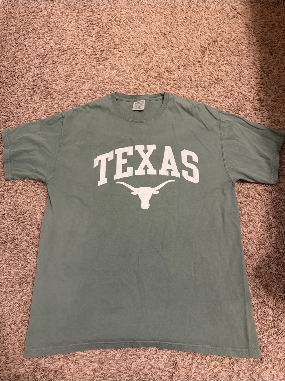 Unisex Comfort Colors Green Texas Graphic Tee